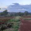 Residential Land at Adjacent To Muhasibu Estate thumb 6