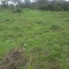 Beautiful one eighth plots in Ngong thumb 12