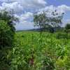 1/4 and Full Acre Plots for sale in Malindi thumb 2