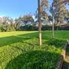 0.5 ac Commercial Land in Karen thumb 0