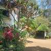 6 Bed Townhouse with Garden in Lavington thumb 17