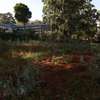 0.125 ac Commercial Land at Near Uon thumb 11