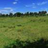 5,000 m² Land at Nanyuki Mount Kenya View thumb 8