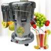 Professional Commercial Juice Extractor Vegetable Juicer thumb 0