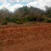 218 Acres Touching Galana River In Kilifi Is For Sale thumb 4