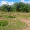 200 Acres Agricultural Land Is For Sale In Kitui Kithyoko thumb 3