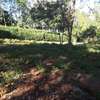 405 m² residential land for sale in Ngong thumb 3
