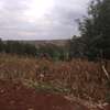 40X80ft PLOTS FOR SALE AT KABATI ZABKA IN MURANGA COUNTY thumb 11