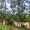 10 ac Land at Mtwapa Creekside thumb 4