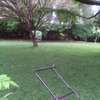 Lawn Mower And Grass Cutting Services thumb 2