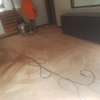 Carpet Cleaning Services in Mombasa. thumb 7