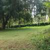 Residential Land at 5 Acres At120M Per Acre thumb 5