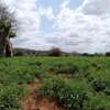 24 acres of land along Athi-River in Kibwezi Makueni County thumb 3