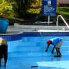 BEST Swimming Pool Cleaning & Maintenance Services Nairobi thumb 8