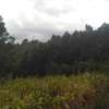 0.125 ac Residential Land in Ngong thumb 7