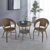 Chic Indoor Outdoor Rattan Set with Cushioned Comfort thumb 3