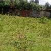 Prime Residential plot for sale in kikuyu, Gikambura thumb 2