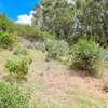 0.05 ha Residential Land at Southern Bypass thumb 3