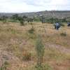 Prime plots for sale in Athi river thumb 4