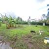 Prime 1 Acre Plot For Sale In Karen, Nairobi. thumb 5