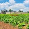0.05 ha Residential Land at Kamangu thumb 12