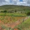 residential land for sale in Athi River thumb 4