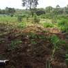 1 ac Land in Karen thumb 6