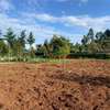 6,000 m² Land in Limuru thumb 4