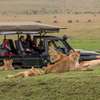 3 Days Best of Masai Mara Safari thumb 2