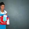 Best Domestic Workers in Nairobi Ongata Rongai Ngong thumb 7