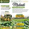 Farming land in Malindi thumb 1