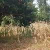 Ugweri 2acres thumb 3