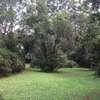 3 Bed House with Garden at Gigiri thumb 5