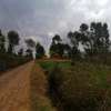 500 m² Commercial Land in Kikuyu Town thumb 14