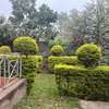 4 Bed House with En Suite at Roysambu thumb 1