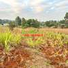 0.05 ha Residential Land in Kamangu thumb 15