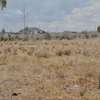 Plot for sale in konza thumb 0
