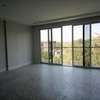 3 Bed Apartment with Swimming Pool in Rhapta Road thumb 14