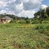 0.1 ha Residential Land in Kikuyu Town thumb 9