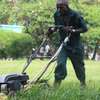 Landscaping Services in Kenya.Low Cost Garden Maintenance thumb 0