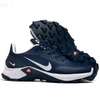 Nike Trail Running Shoes thumb 0