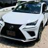 2019 LEXUS NX300 thumb 0