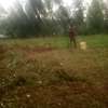 Selling Land in kapsabet (3 points thumb 2