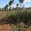 5000 m² residential land for sale in Ngong thumb 6