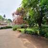 5 Bed House with En Suite in Gigiri thumb 60