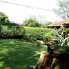 FOR SALE – PRESTIGIOUS PROPERTY LAVINGTON, NBI (0.8 ACRES) thumb 11