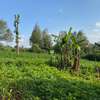 0.5 ac Land at Kagongo Karura Road thumb 2