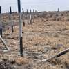 Land in Eastern ByPass thumb 8