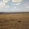 180 Acres of Land For Sale in Kipeto, Isinya thumb 7
