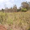 40X80ft PLOTS FOR SALE AT KENOL TOWN JUST BEHIND MAGUNAS thumb 11